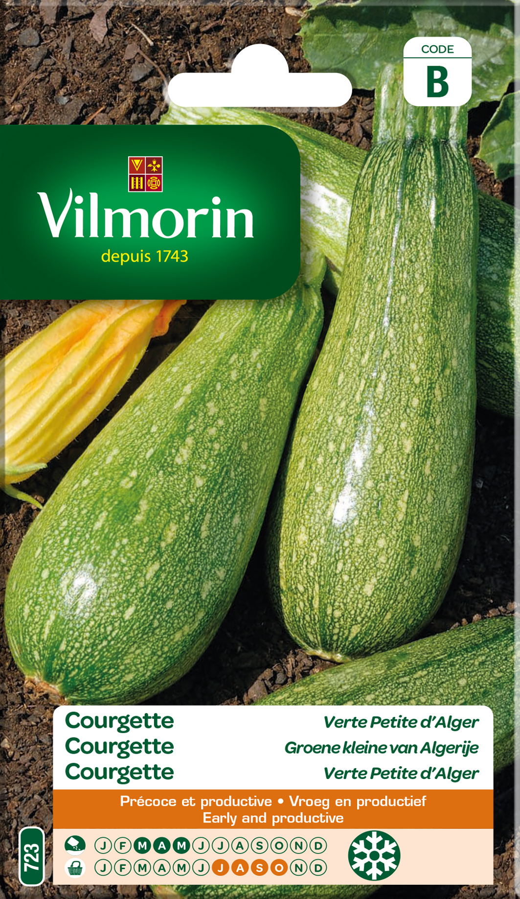 Courgette Groene Kleine Van Algerije Courgette Groene Kleine Van Algerije