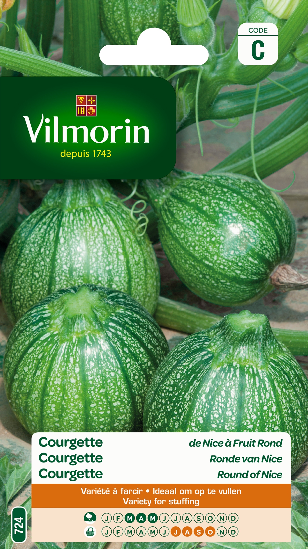 Courgette Ronde Van Nice Courgette Ronde Van Nice