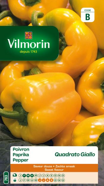 Paprika Quadrato Giallo Paprika Quadrato Giallo