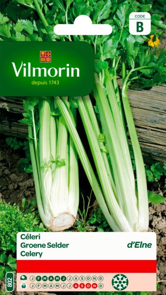 Groene Selder Van Elne Groene Selder Van Elne