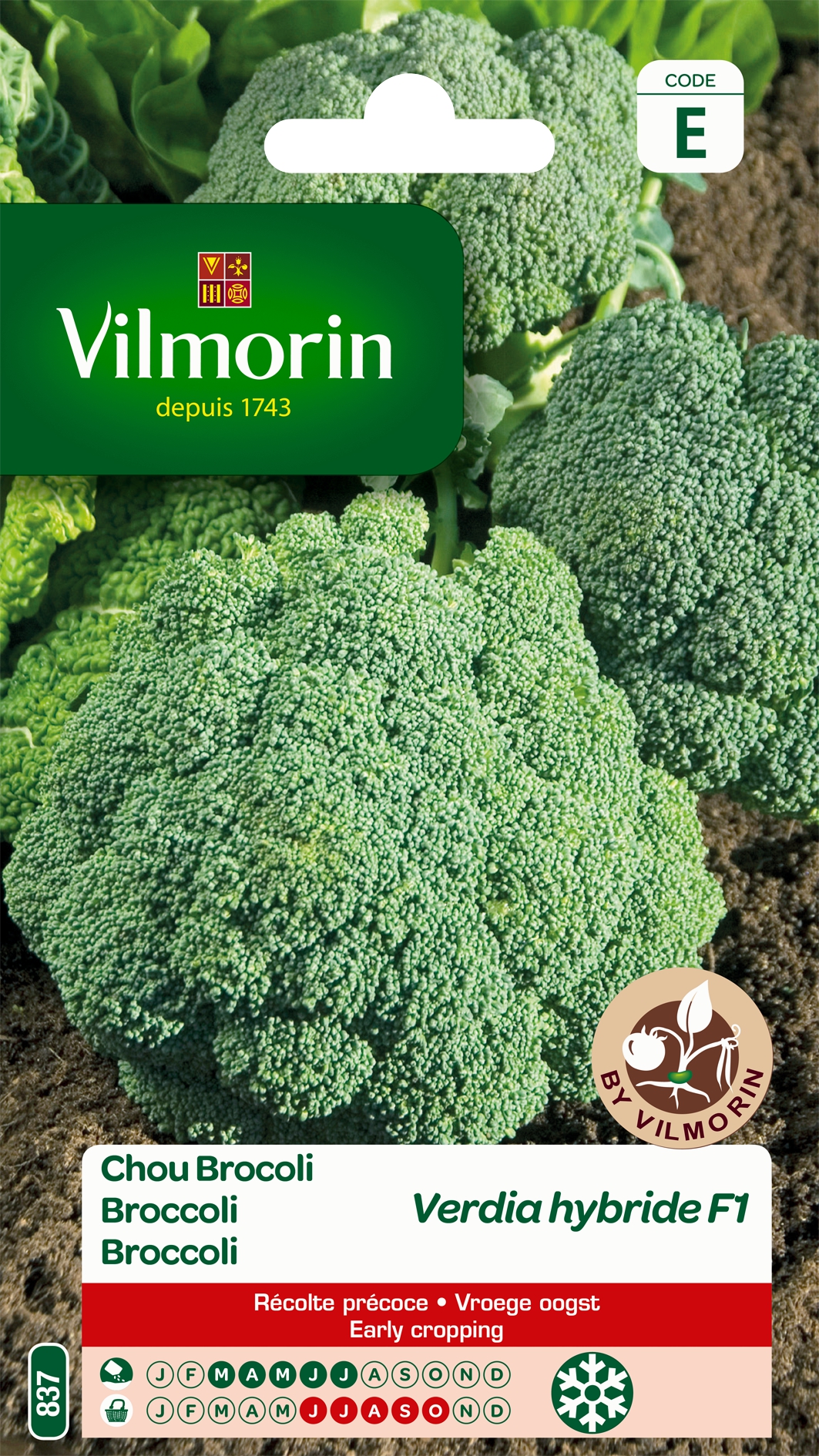 Broccoli Verdia HF1