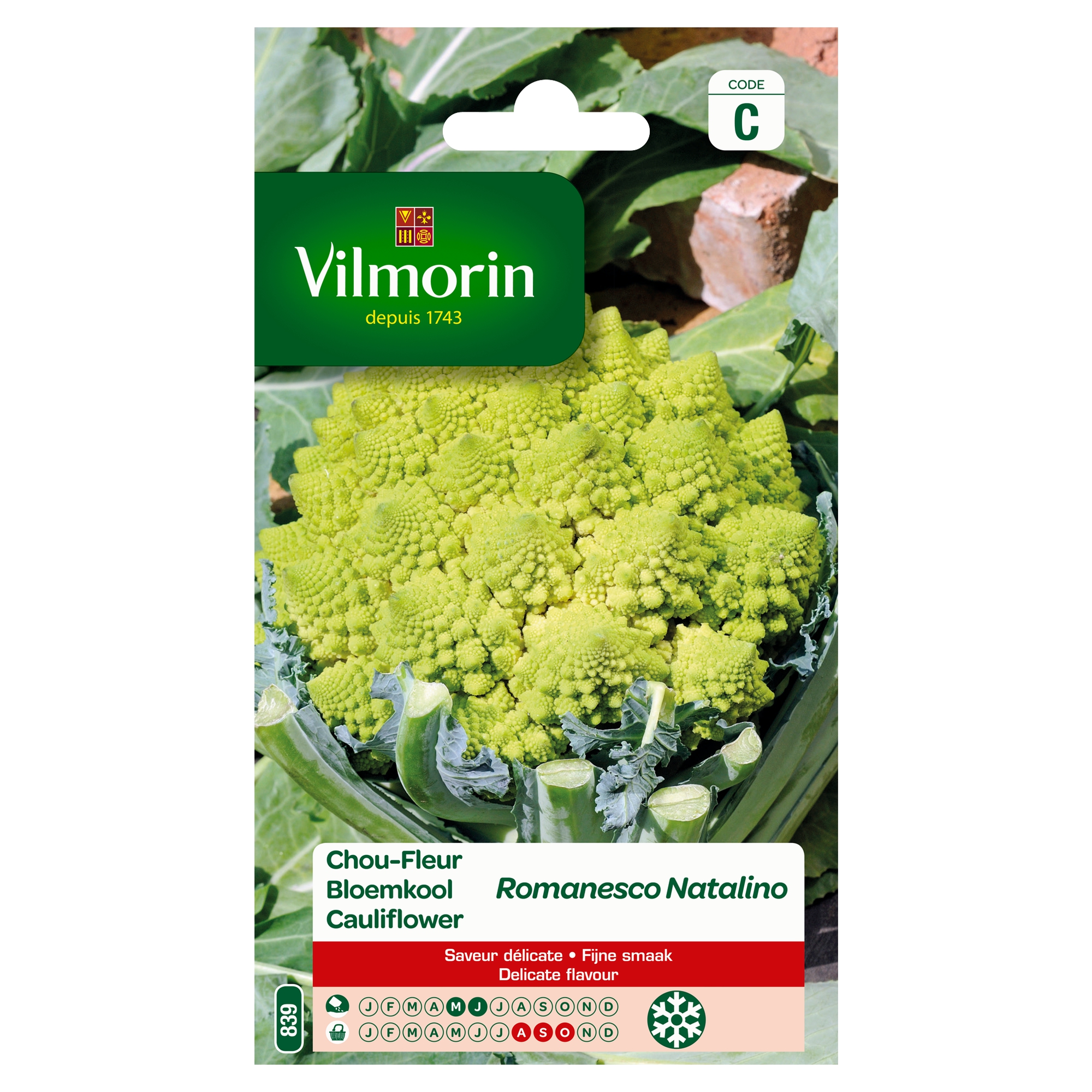 Bloemkool Romanesco Natalino Bloemkool Romanesco Natalino