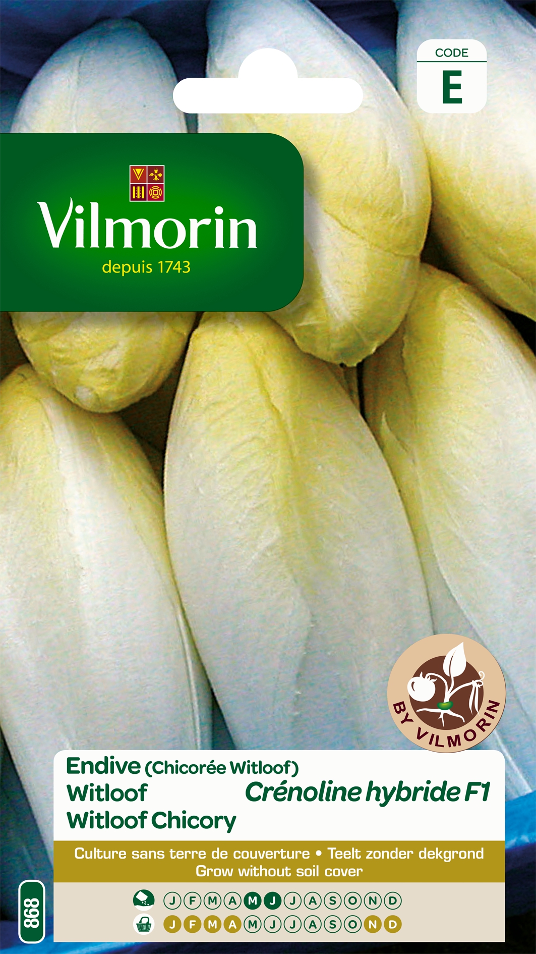 Witloof Crenoline HF1 Witloof Crenoline HF1