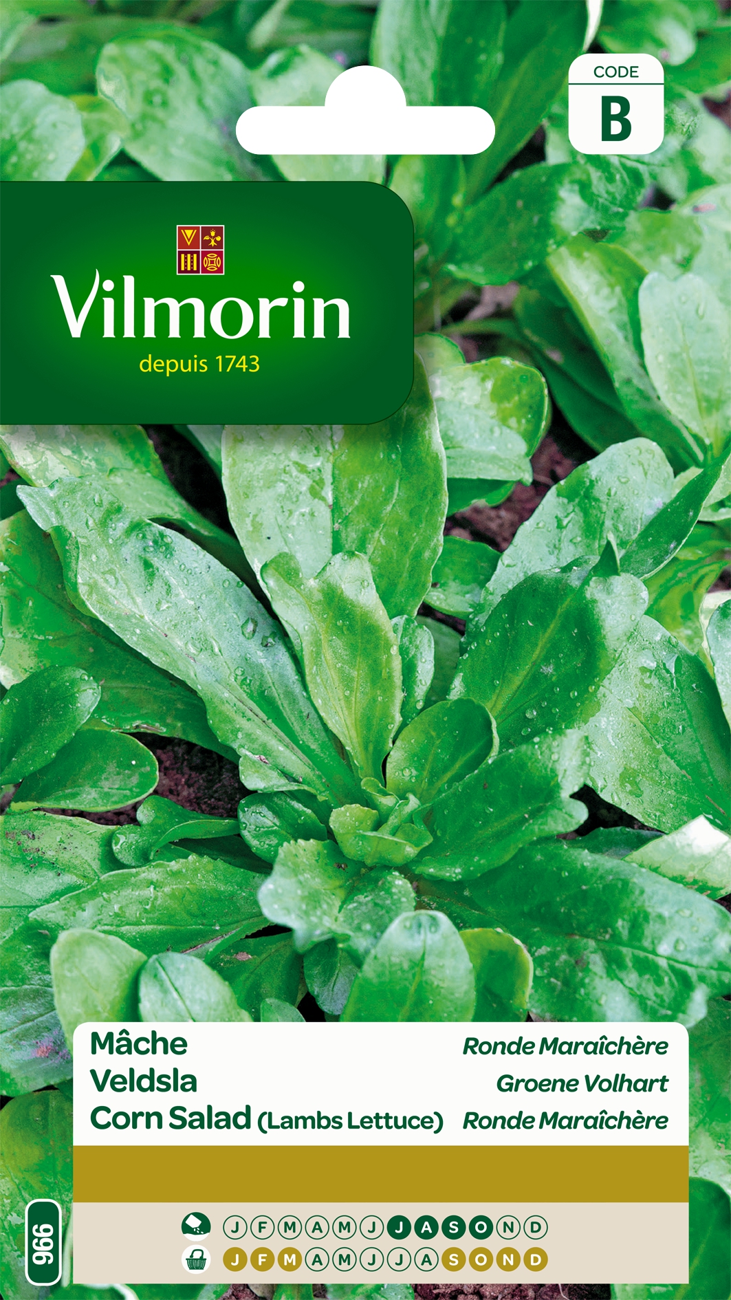 Veldsla Groene Volhart Veldsla Groene Volhart