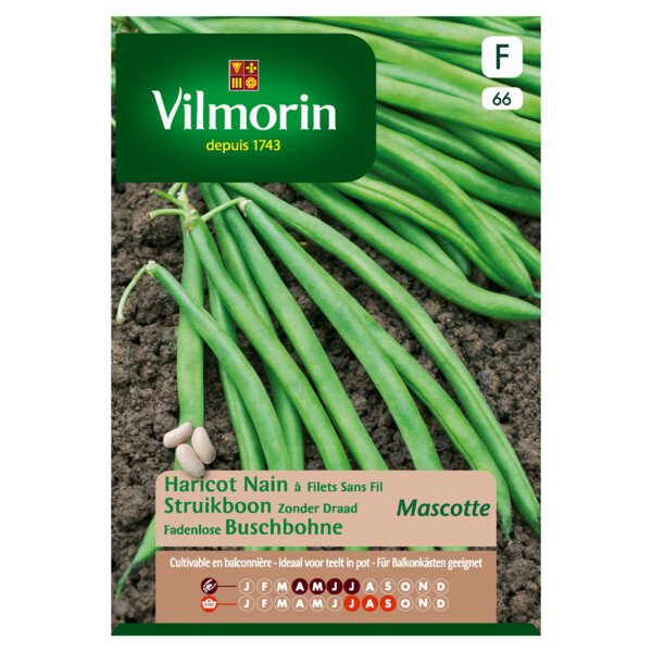 Struikboon Mascotte 125g Struikboon Mascotte 125g