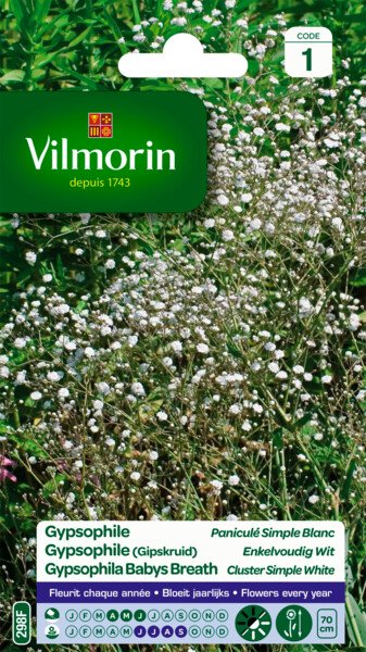 Gypsophila Enkelv Wit Gypsophila Enkelv Wit