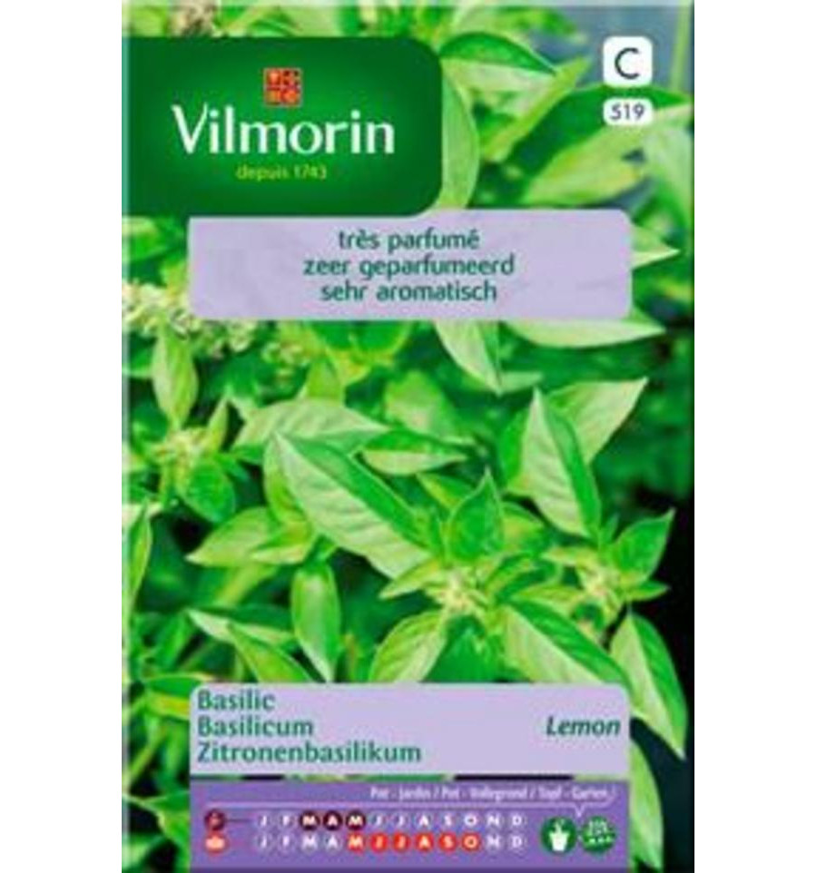 Basilicum Lemon