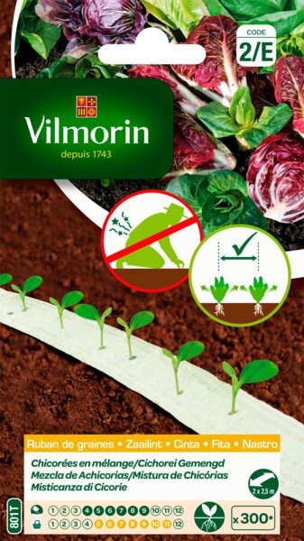 Zaailint Cichorei Gemengd 5M Zaailint Cichorei Gemengd 5M