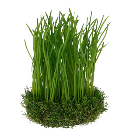 Grass on bales, D12H20cm, green