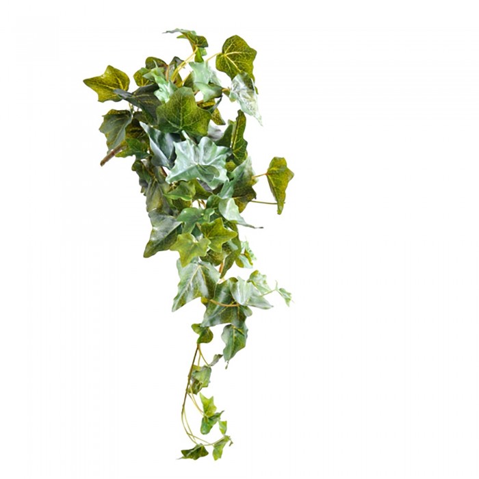 Klimophanger "Hedera" Groen