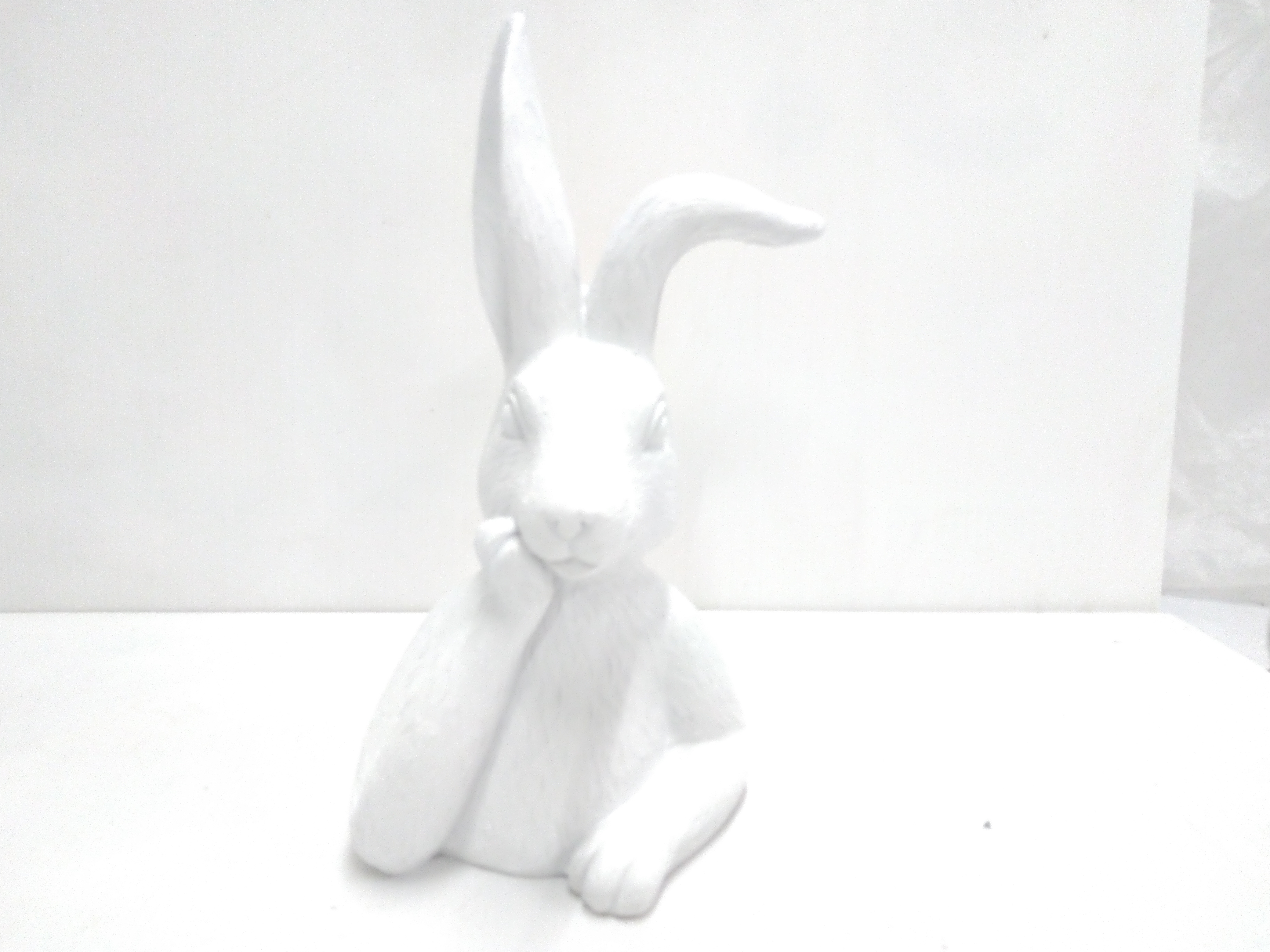 Pl.rabbit"Nagold", matt white