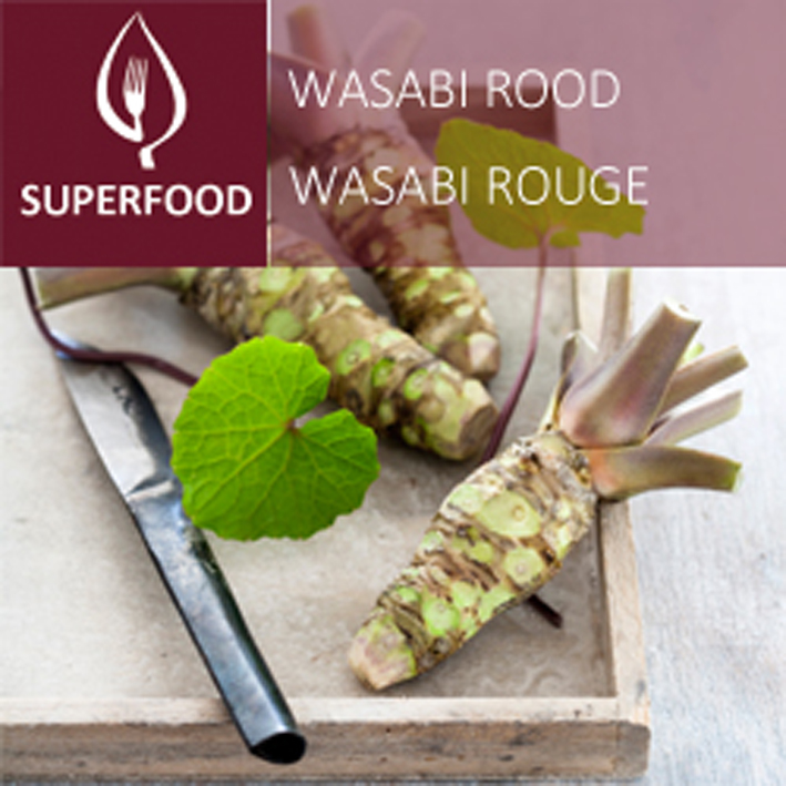 Wasabi - rood Wasabi - rood