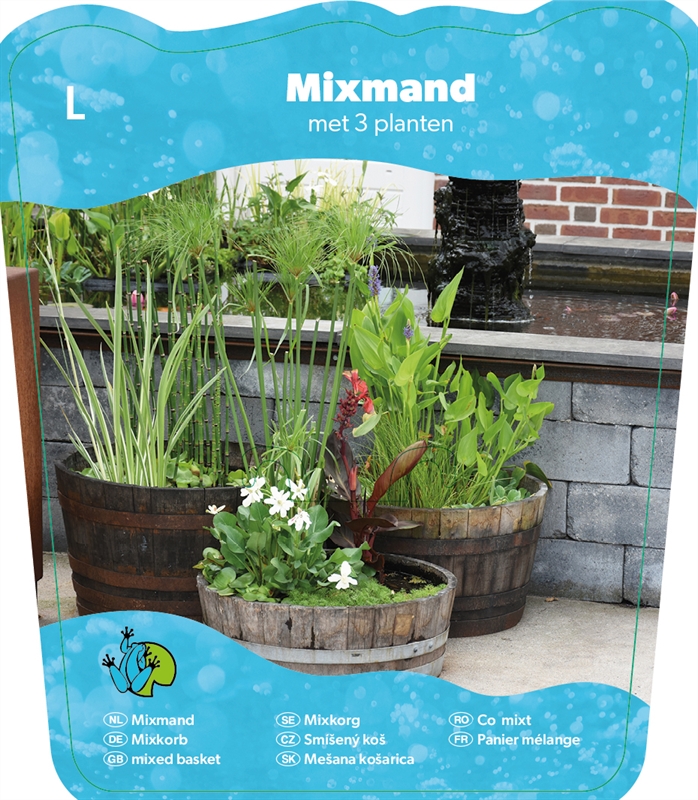 Mix mand 18 cm met 3 waterplanten
