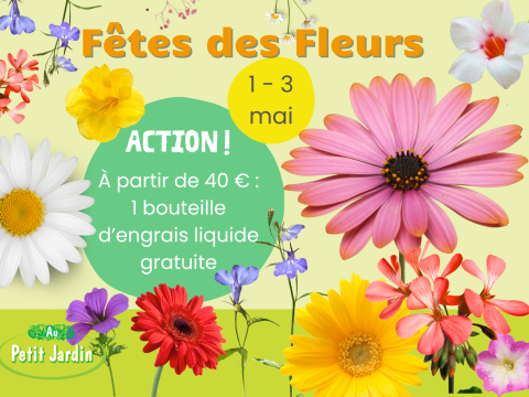Fêtes des fleurs