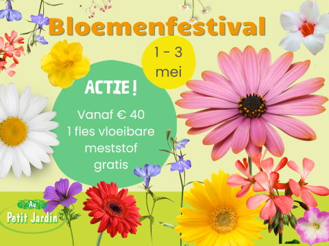 Bloemenfestival! Fêtes des fleurs!
