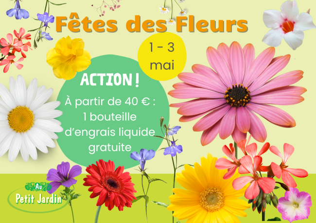 Fêtes des fleurs