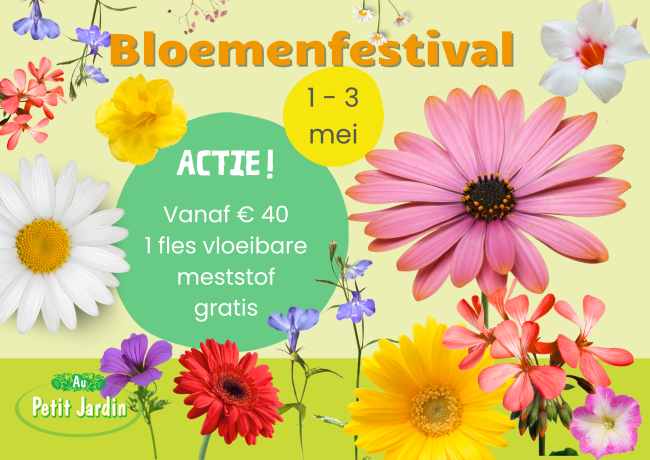 Bloemenfestival! Fêtes des fleurs!