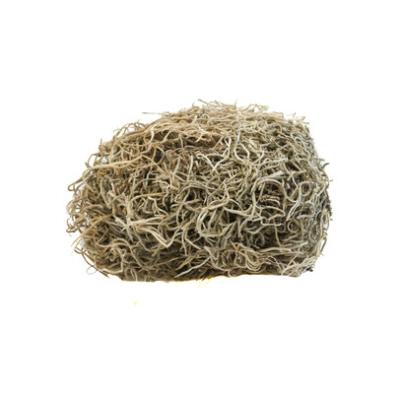 TILLANDSIA IN ZAKJE 25gr NATUREL
