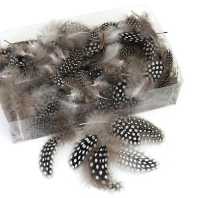PARELHOEN NATUREL 5gr