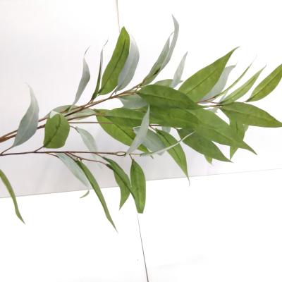 Zijdebloem Eucalyptus Spray Grey