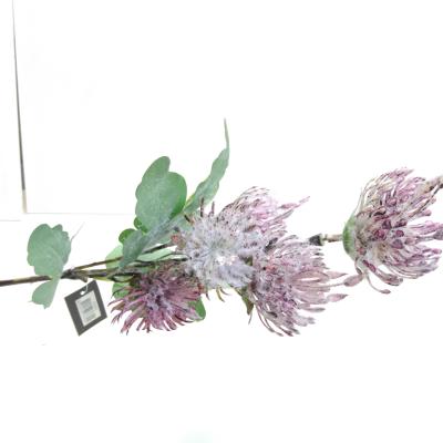 Zijdebloem Nutan tros paars