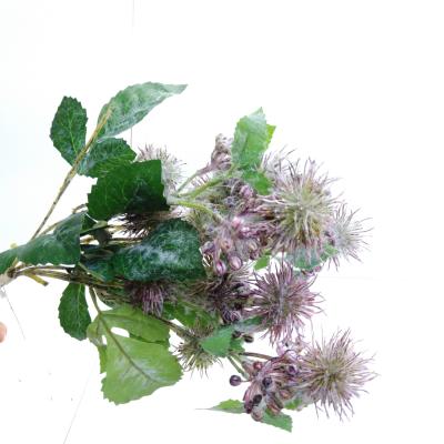 Zijdebloem boeket Purple Needle Cushion Flower