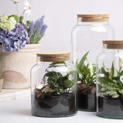 Halfopen terrarium fles S