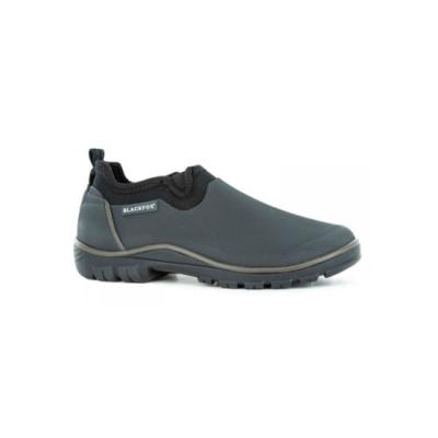 Schoen Montana   