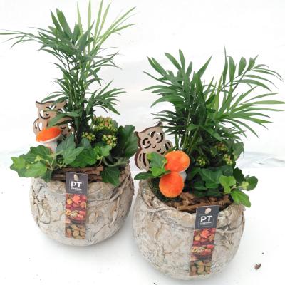 PTHI5035 Autumn Interieur