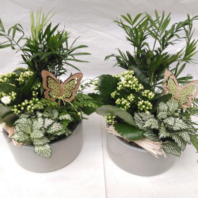 Arrangement voor binnen