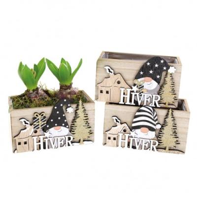 ARR Hyacint Hiver 2 pl.