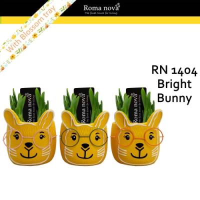 ARR Narcis Roma Nova 'Bright Bunny' bril