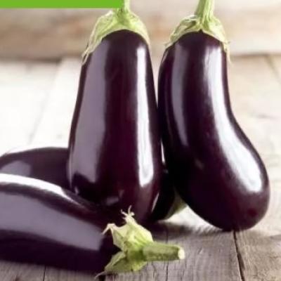 Geënte Aubergine - Aubergine greffé