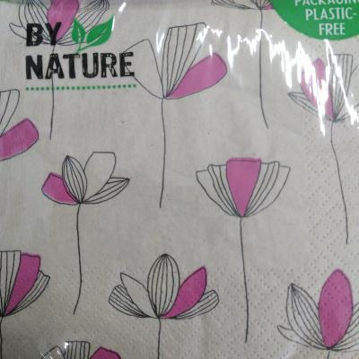 20 SERV RECYCLÉE 33X33 LAPIN B
