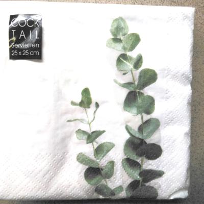 20 SERV 25X25 ELEGANT VERT
