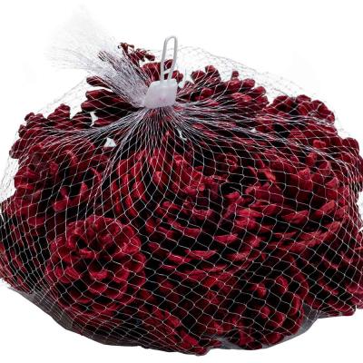 DENAPPELS 300GR ROOD