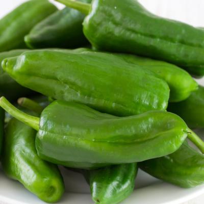 Padron peper - Piment de Padron