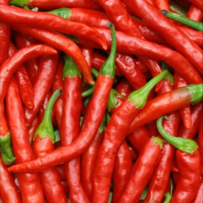 Pepers rood 'Cayenne' - Piment d'Espagne 'Cayenne'