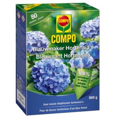 BLAUWMAKER HORTENSIA'S