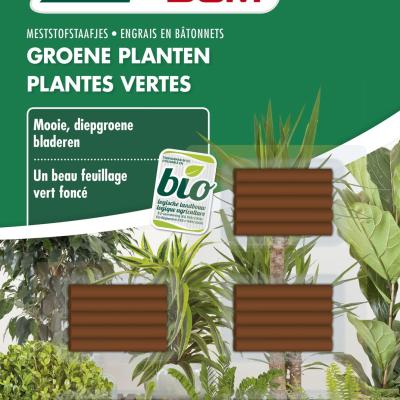 DCM STAAF GROENE PLANTEN