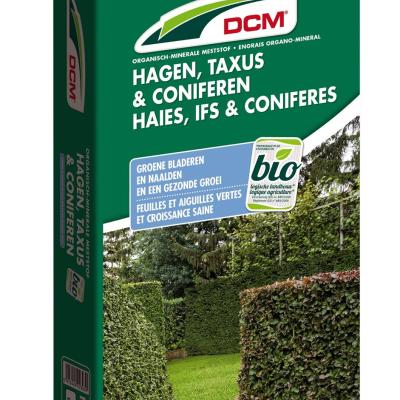 DCM HAGEN/TAXUS/CONIFEREN