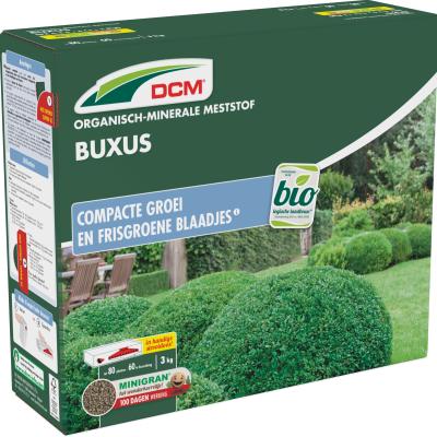 DCM BUXUS