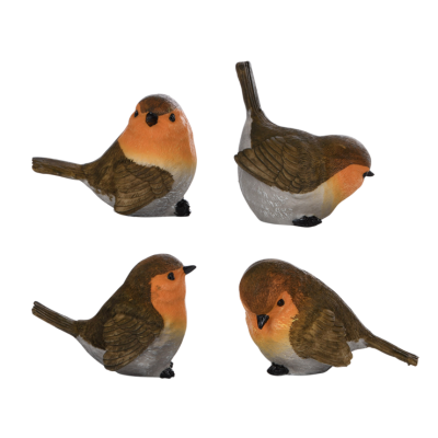 Roodborst S ass.