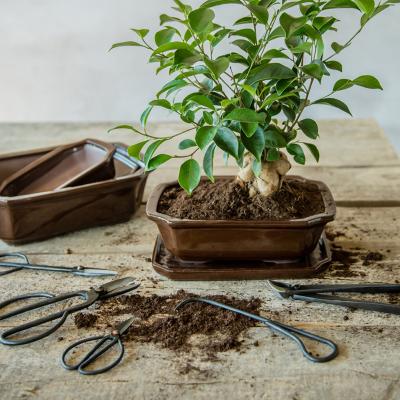 Bonsai pot rechthoekig M