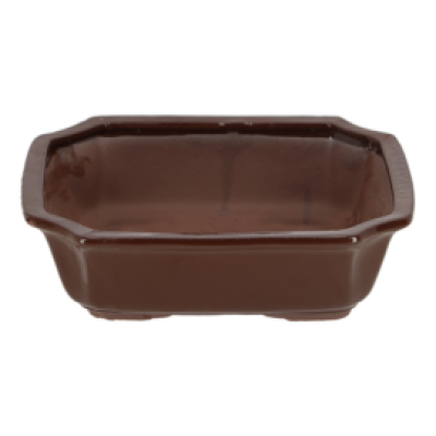 Bonsai pot rechthoekig L