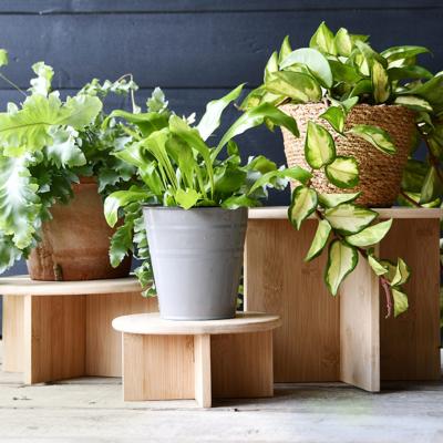 Plantentafeltje bamboe S