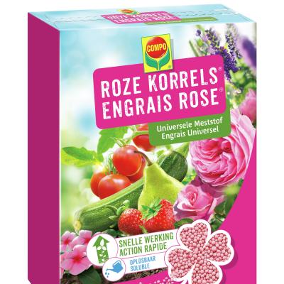 ROZE KORRELS