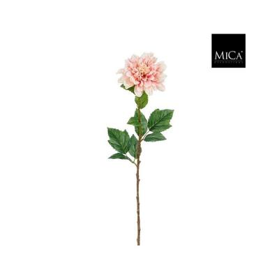 Dahlia Roze