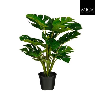 Philo in pot groen - h45xd30cm