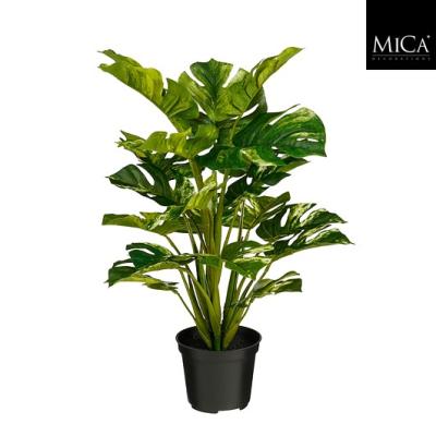 Philo in pot bont - h45xd30cm